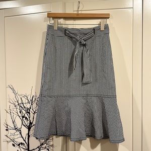 Ann Taylor Skirt